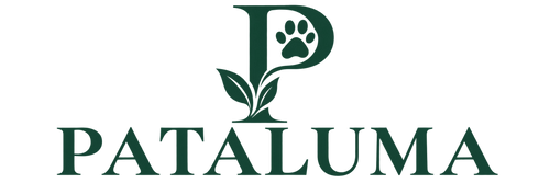 Pataluma